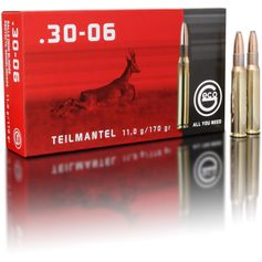 BALLES 30-06 SOFT POINT 170GR