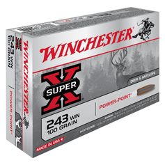 BALLES 243WIN PP 100GR