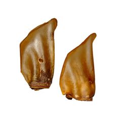 OREILLES DE BOEUF FUMEES X10