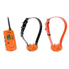 PACK CANICOM 1000 ORANGE - 2 CHIENS