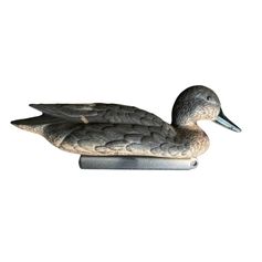 APPELANT PILET FEMELLE