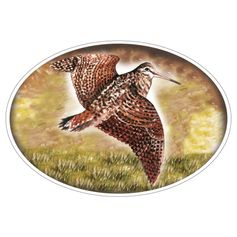 STICKER MARTIN NOUVEL BECASSE