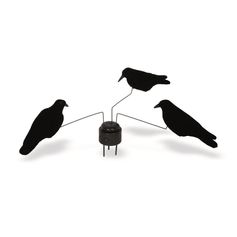 APPELANT CORBEAU MANEGE X3