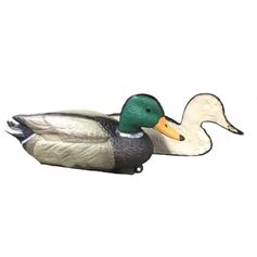 APPELANT COLVERT MALE MOUSSE