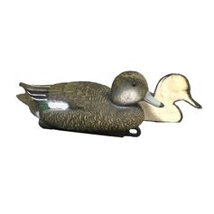 APPELANT SIFFLEUR FEMELLE MOUSSE