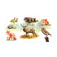 SET DE TABLE CANOPEE