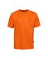 TEE SHIRT BLAZE