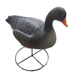 APPELANT OIE CENDREE HD SUR PIED