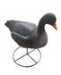 APPELANT OIE CENDREE HD SUR PIED