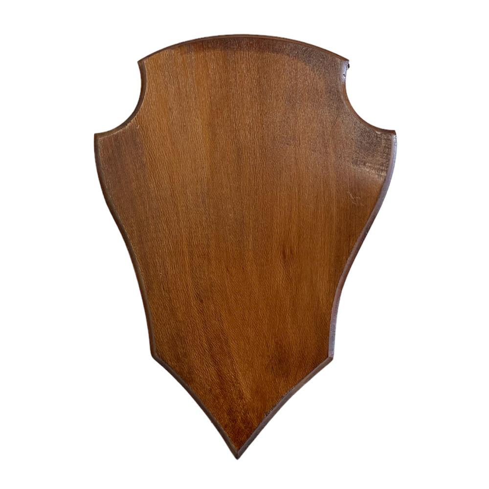 ECUSSON BOUT POINTU 26X20 MOYEN