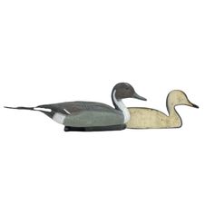 APPELANT PILET MALE MOUSSE