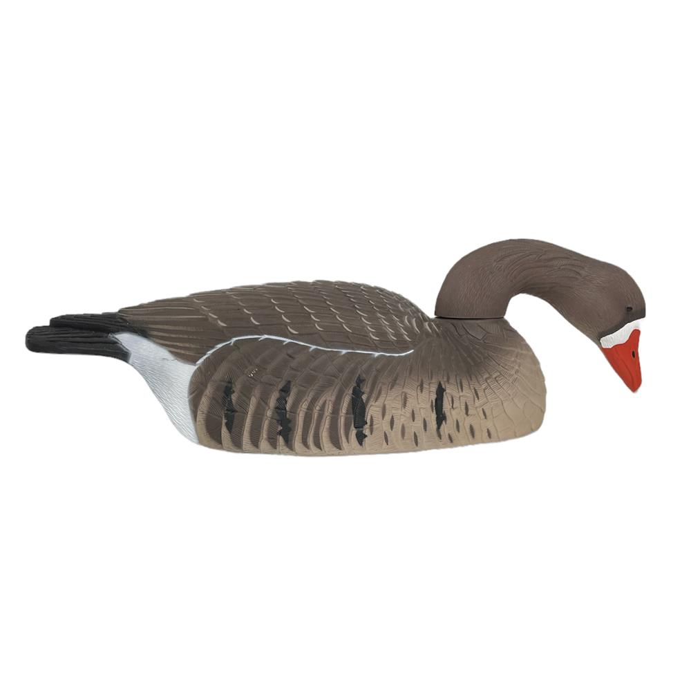 COQUILLE OIE RIEUSE HD GAGNAGE