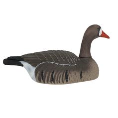 COQUILLE OIE RIEUSE HD MANGEUSE