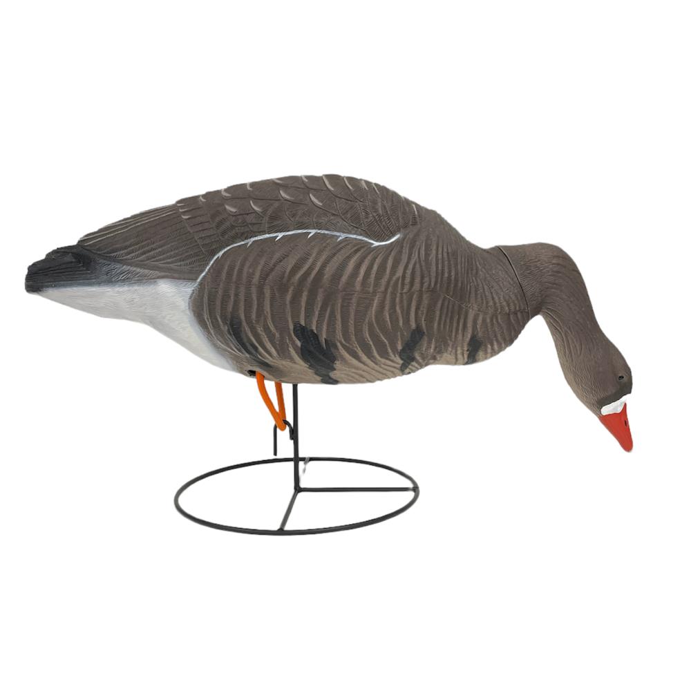 OIE RIEUSE HD SUR PATTES MANGEUSE