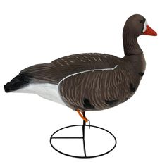 OIE RIEUSE HD SUR PATTES GAGNAGE