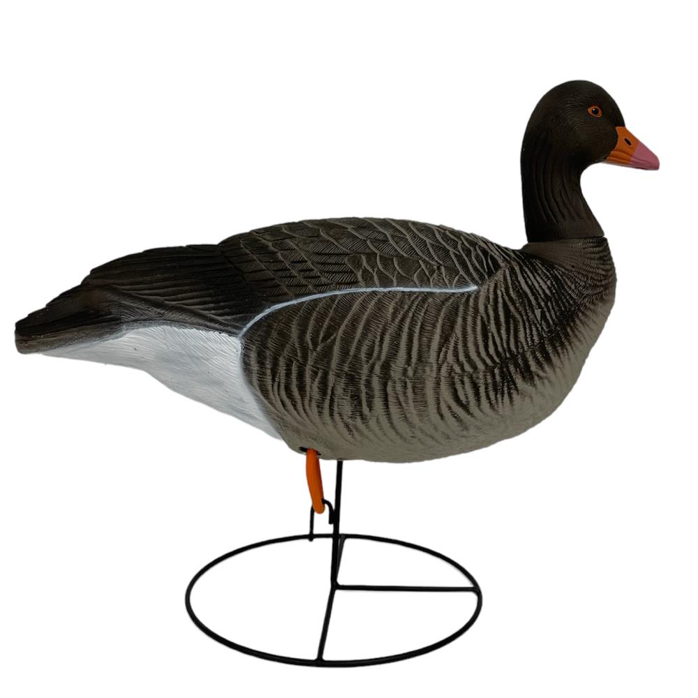 OIE CENDREE HD SUR PATTES GAGNAGE