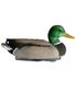 APPELANT COLVERT MALE HD