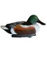 APPELANT SOUCHET MALE HD