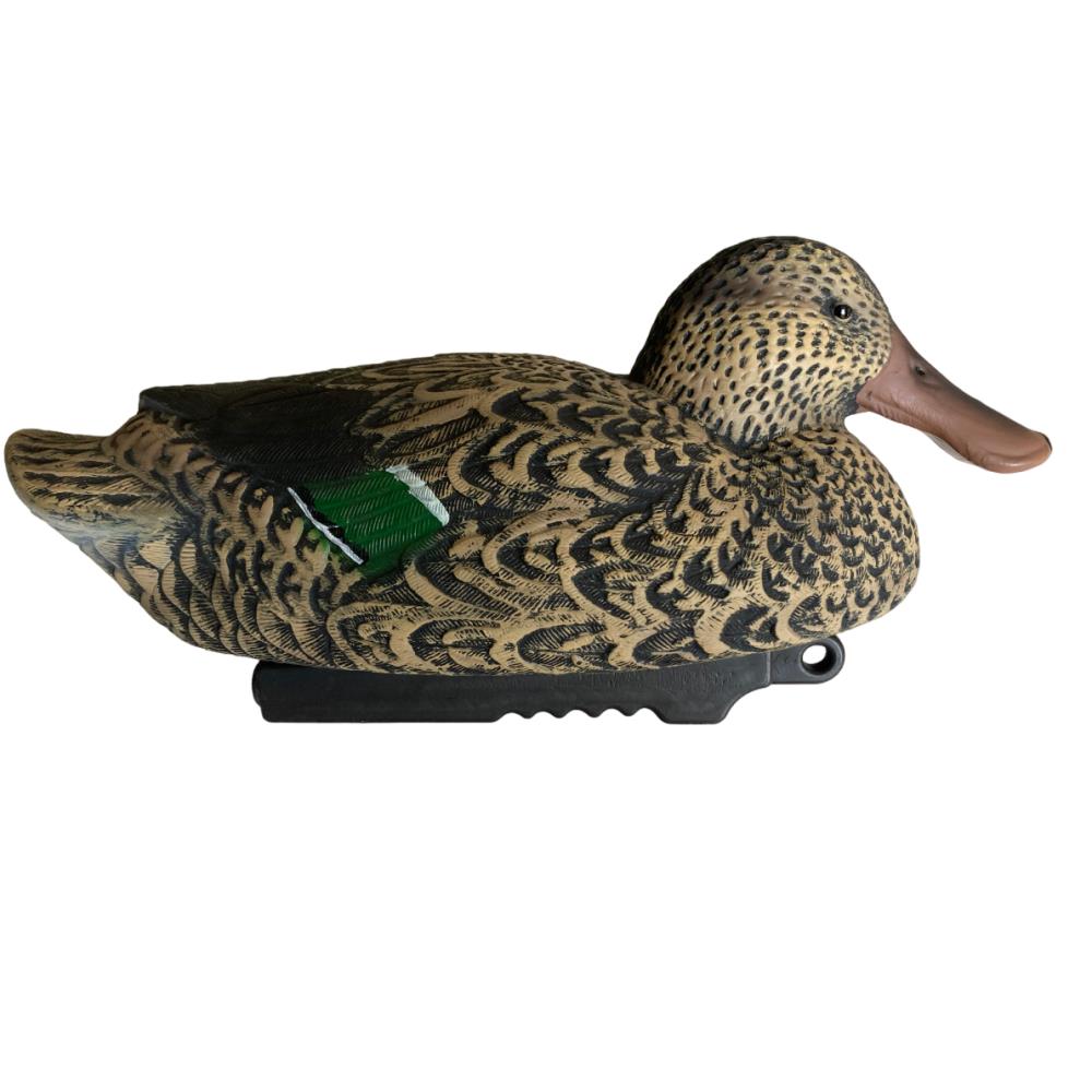 APPELANT SOUCHET FEMELLE HD