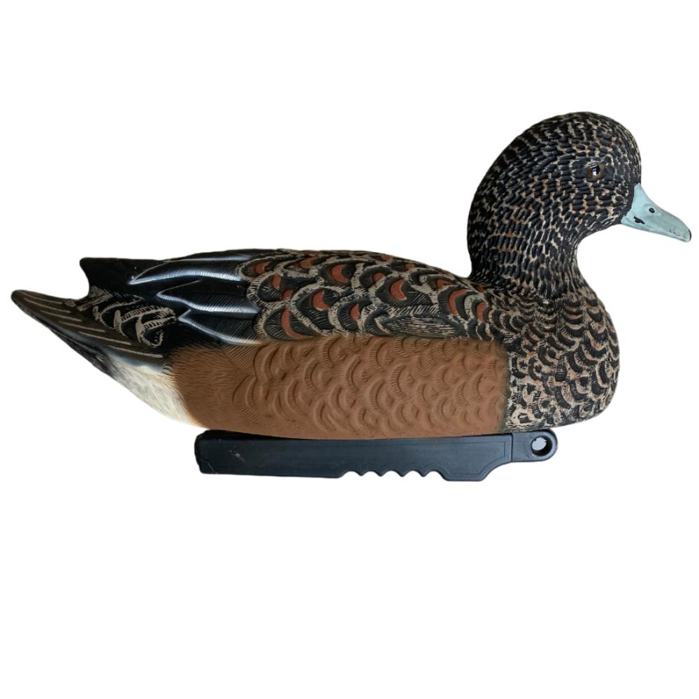 APPELANT SIFFLEUR FEMELLE HD