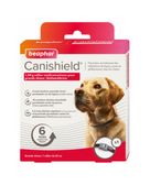 COLLIER CANISHIELD GRAND CHIEN