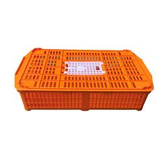 CAGE TRANSPORT SARCELLE/PIGEON