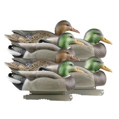 APPELANT COLVERT LIFE SIZE 4M+2F