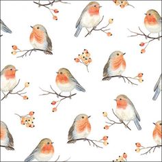 SERVIETTE FAMILLE D'OISEAUX