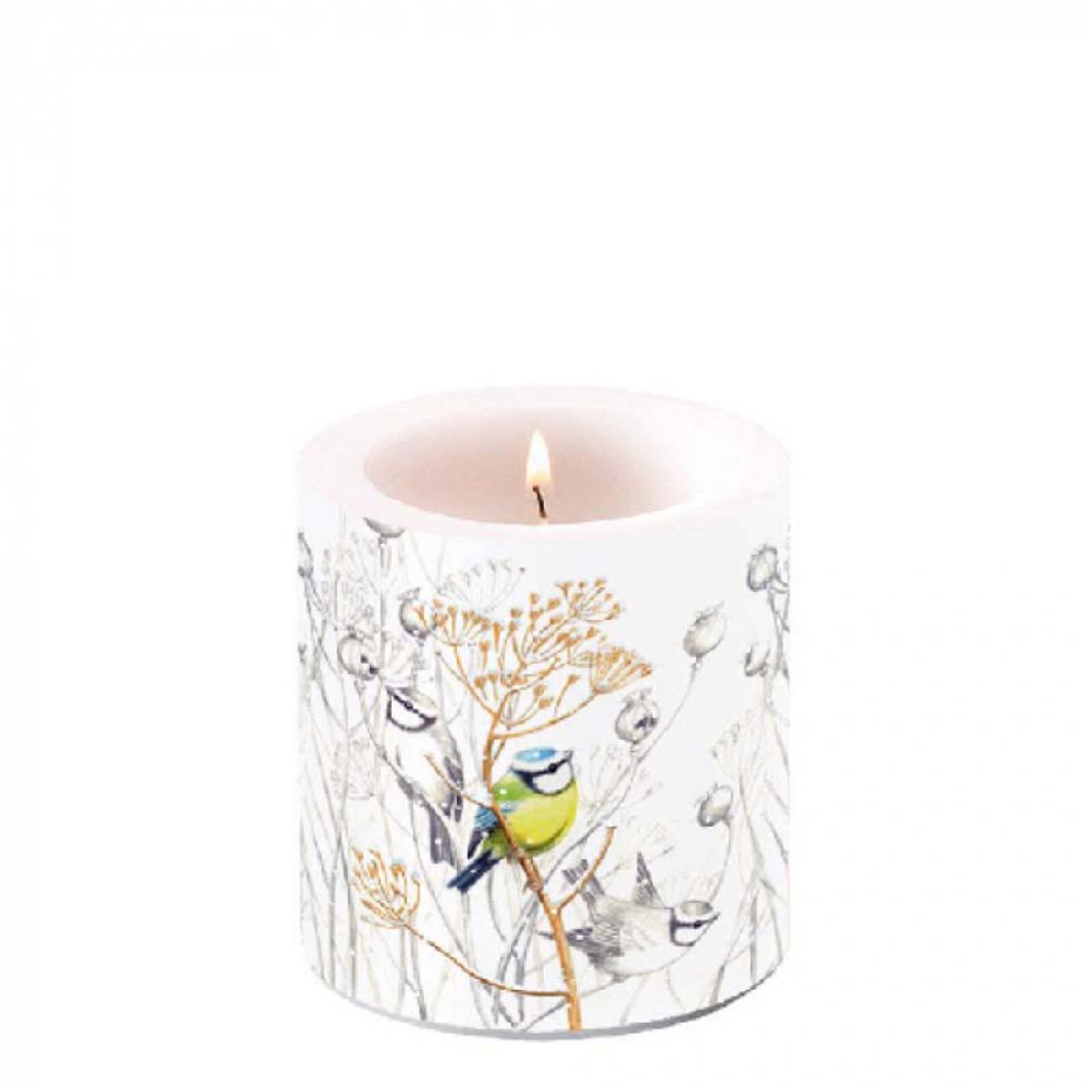 BOUGIE PETITS OISEAUX PM