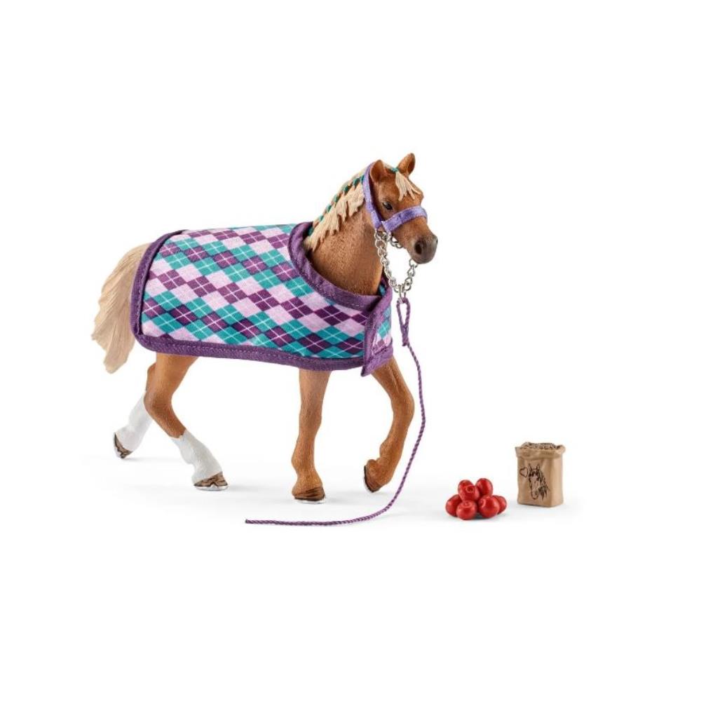 COFFRET FIGURINE PUR-SANG ANGLAIS