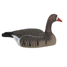 COQUILLE OIE RIEUSE HD GAGNAGE