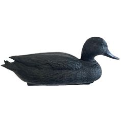 APPELANT COLVERT NOIR