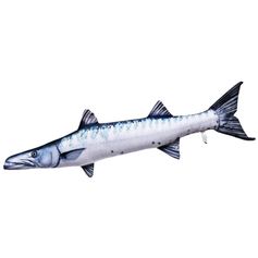 PELUCHE BARRACUDA 110CM