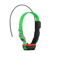 PACK GPS ALPHA 10 ET COLLIER TT25F