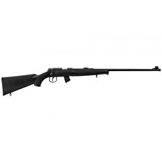 CARABINE JW15 22LR NORINCO