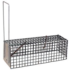 NASSE A RAT 1 ENTREE 28X10X10