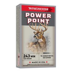 BALLES 243WIN PP 100GR