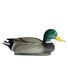APPELANT COLVERT MALE
