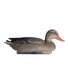 APPELANT COLVERT FEMELLE