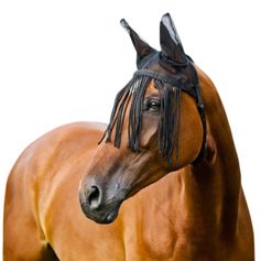 BONNET ANTI-MOUCHES FRANGES COMPLET