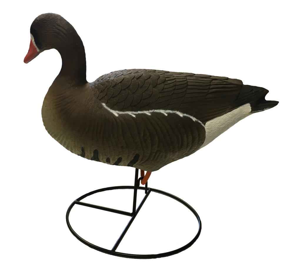 APPELANT OIE RIEUSE HD SUR PIED TERZEO CHASSE Ediloisir